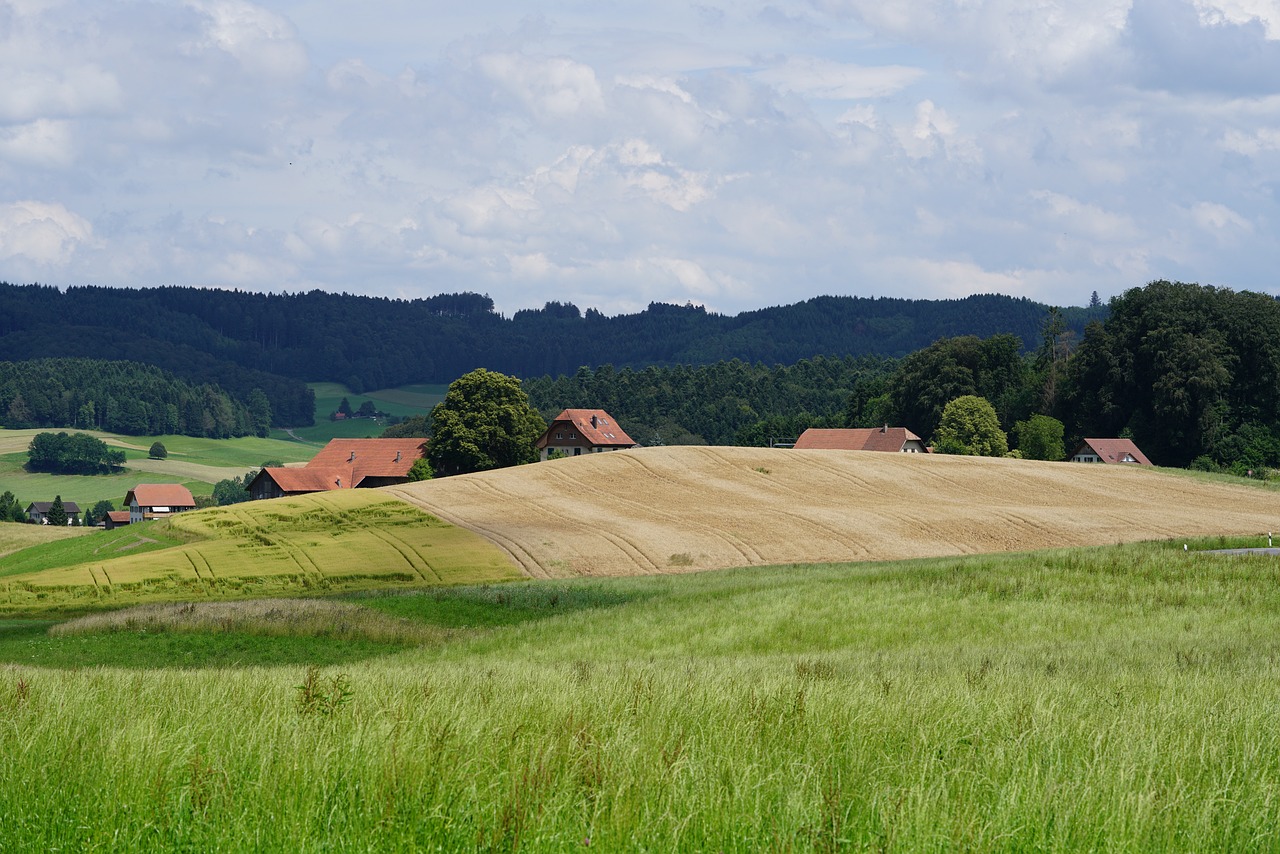 The Role of Local Communities in Protecting Cultural Heritage